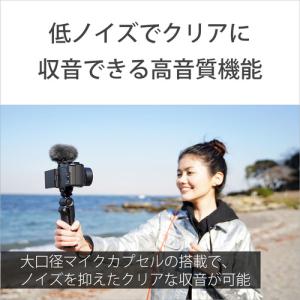 ソニー ECM-G1 ショットガンマイクロホンの詳細画像4
