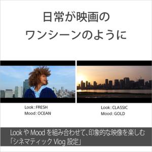 ソニー ZV-1M2B VLOGCAM ZV-...の詳細画像5