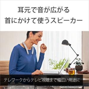 ソニー SRS-NB10 WC ワイヤレスネッ...の詳細画像2