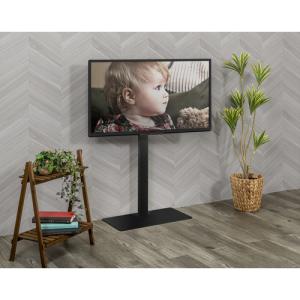 【推奨品】ヤマダセレクト YTS2450LLB...の詳細画像1