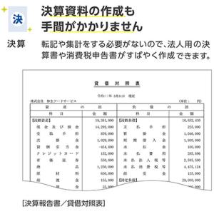 弥生 YTAV0001 弥生会計 26 スタン...の詳細画像4