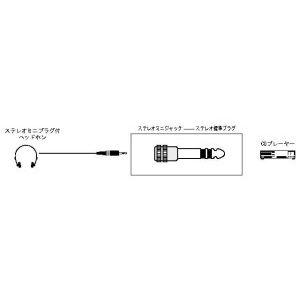 ビクター AP-113A  変換アダプター｜e-wellness