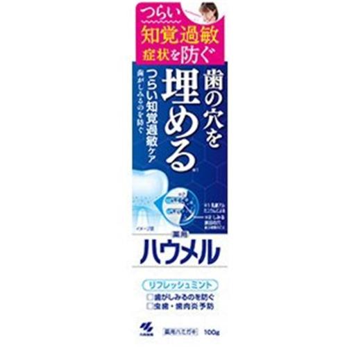 小林製薬 ハウメル 100g