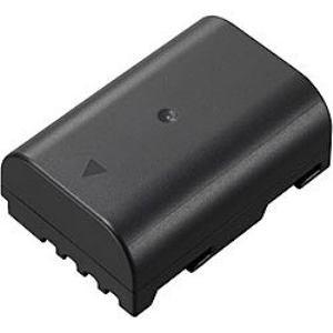 パナソニック DMW-BLF19 バッテリーパック DMWBLF19