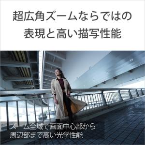 ソニー SELP1020G 一眼カメラ用レンズ...の詳細画像4