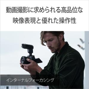 ソニー SELP1020G 一眼カメラ用レンズ...の詳細画像5