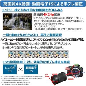 キヤノン EOS R100 RF-S18-45...の詳細画像4