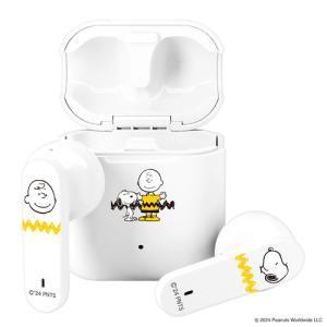 Bose Quiet Comfort Earbuds II 専用ケース ソープストーン : キムラヤ