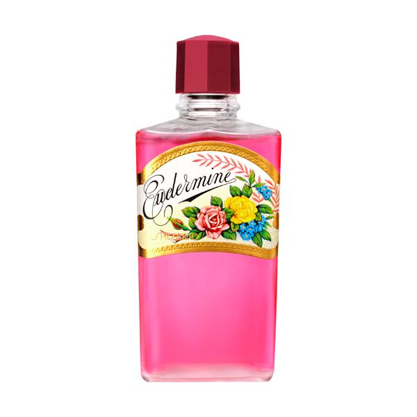 資生堂（SHISEIDO）  オイデルミンN オイデルミン(N) (200mL)