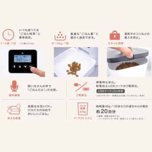 ドギーマン おるすばんサポートフィーダー 犬・猫用の詳細画像5