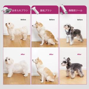 PETKIT LM4 AIRCLIPPEER ...の詳細画像3