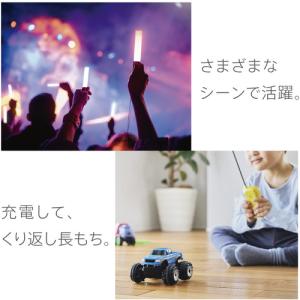 Panasonic BK-3HCD/4H エネ...の詳細画像2