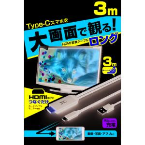 カシムラ KD-225 HDMI変換ケーブル 3m｜e-wellness