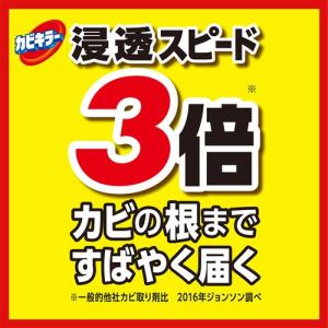J&J カビキラー 付け替え (400g)の詳細画像3
