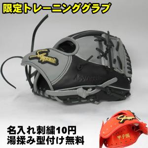 久保田スラッガー（KUBOTA SLUGGER） 硬式グラブ KSG-L7S ブラック 湯