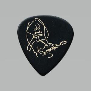 ピック Ibanez ( アイバニーズ ) ポ...の詳細画像1