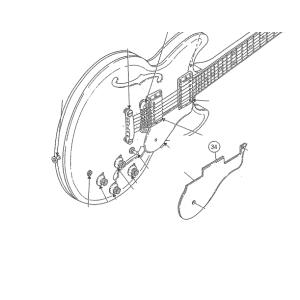 YAMAHA SG用ホワイトピックアップエスカッション 極美品 送料込 Amazon | ALLPARTS (オールパーツ) ハムバッカーピックアップ用