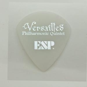 ピック ESP TERU / Versaill...の詳細画像1