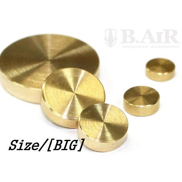 スウィングチップ [ビッグ] スイングチップ 音質改善 B.AIR / SWING CHIP BIG