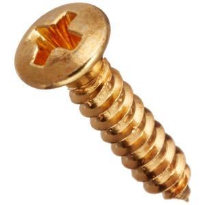 SCUD スカッド ピックガード用ビス W-PFG フェンダータイプ  12P (ゴールド)