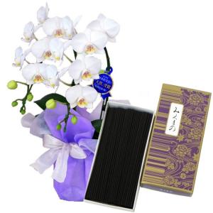 お供え 花 線香セット 胡蝶蘭 2本立 ミディ ...の商品画像