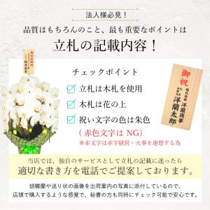 【ポイント10倍】ミディ胡蝶蘭 アマビリス 3...の詳細画像3