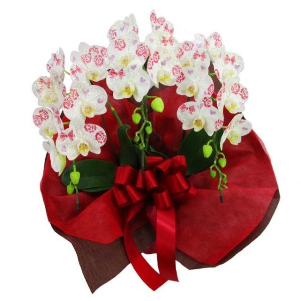 ミディ胡蝶蘭 化粧蘭 3本立ち 21輪前後 バラ ハート リボン 金ラメ仕立て