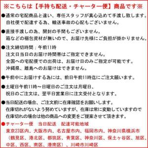 胡蝶蘭 当日配送 お祝い 5本立ち 白色 大輪...の詳細画像1