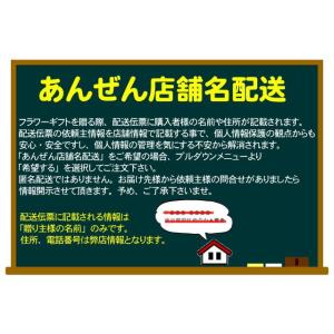 胡蝶蘭 当日配送 お祝い 5本立ち 白色 大輪...の詳細画像2