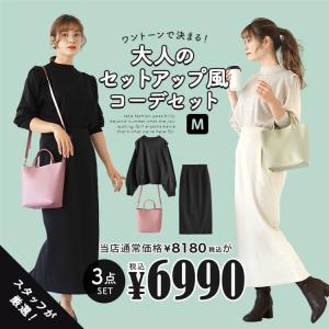 コーディネートセット 秋 秋服 レディース 福袋 トップス ニット スカート バッグ ワントーンで決まる 大人のセットアップ風コーデセット 返品交換不可｜e-zakkamania