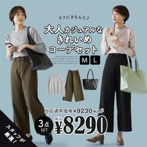 コーデセット レディース トップス ニット 長袖 パンツ バッグ オフィス ラフにきちんと 秋の大人カジュアルなキレイめコーデセット 返品交換不可｜e-zakkamania