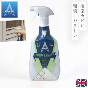 タイル 掃除 洗剤 目地の汚れ落とし お風呂掃除...の商品画像