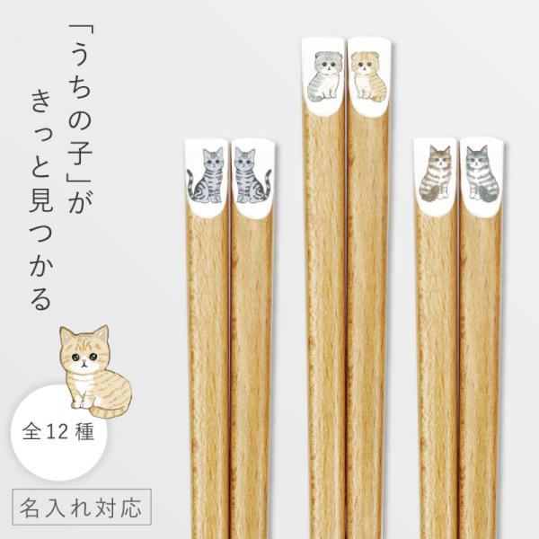 箸 22.5cm 名入れ 猫 ねこ 箸 かわいい 名前入り プレゼント 大人 猫グッズ 日本製 天然...