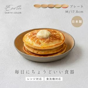 プレート EARTHCOLORシリーズ 18c...の詳細画像1