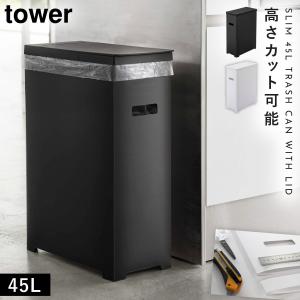 ゴミ箱 45L スライド ステンレス （ ごみ箱 45リットル スリム 幅20.5