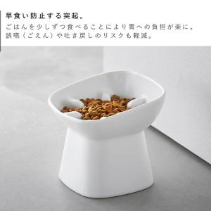 早食い防止陶器ペットフードボウル ヌークス 斜...の詳細画像3