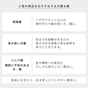 早食い防止陶器ペットフードボウル ヌークス 斜...の詳細画像5