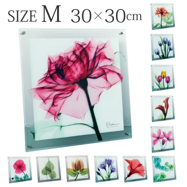 x-ray アートフレーム キャンバスアート 花 アートパネル モダン 玄関 壁掛け かっこいい イ...
