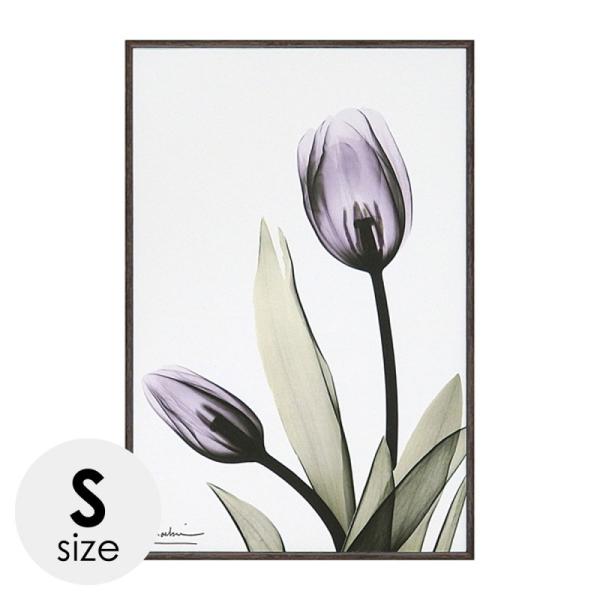 x-ray アートフレーム キャンバスアート 花 アートパネル モダン 玄関 壁掛け かっこいい イ...