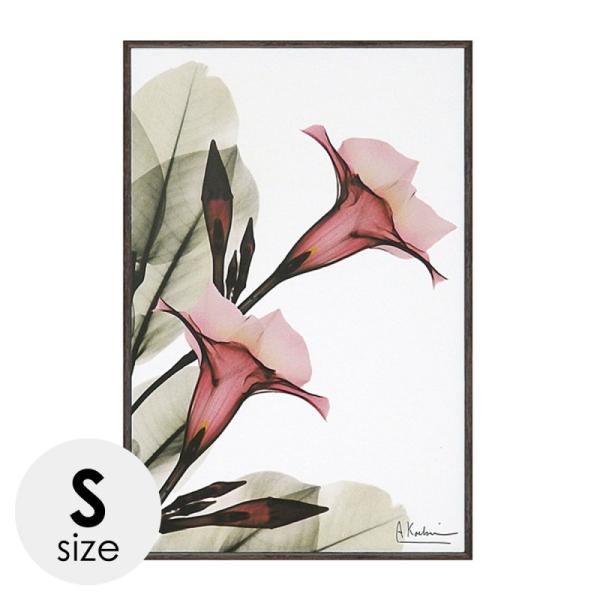 x-ray アートフレーム キャンバスアート 花 アートパネル モダン 玄関 壁掛け かっこいい イ...