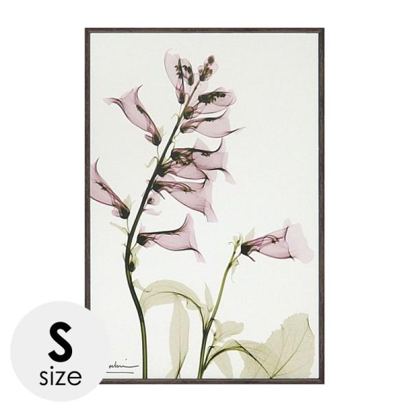 x-ray アートフレーム キャンバスアート 花 アートパネル モダン 玄関 壁掛け かっこいい イ...