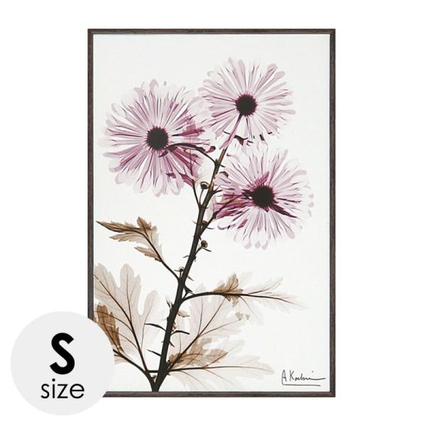 x-ray アートフレーム キャンバスアート 花 アートパネル モダン 玄関 壁掛け かっこいい イ...