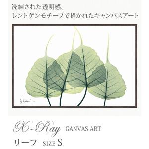 x-ray アートフレーム キャンバスアート ...の詳細画像1