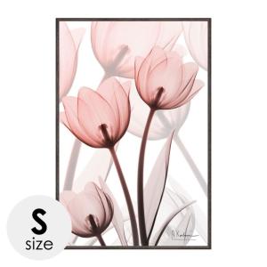 アートパネル 花 アートフレーム モダン 額入り X RAY