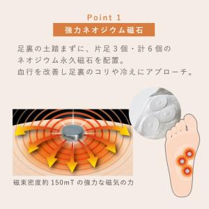 足裏サポーター 磁気 サポーター「管理医療機器...の詳細画像4