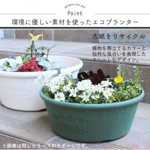 プランター 長方形 横長 30cm アンティー...の詳細画像2