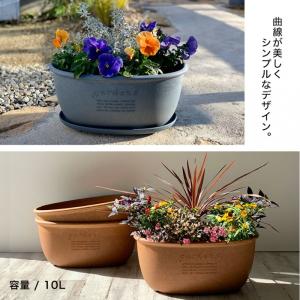 プランター 横長 40cm アンティーク おし...の詳細画像2