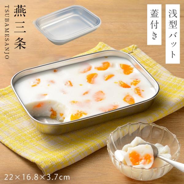 燕三条 ステンレスバット 蓋付き ステンレス バット 蓋 保存容器 浅型 フタ付き オークス ステン...