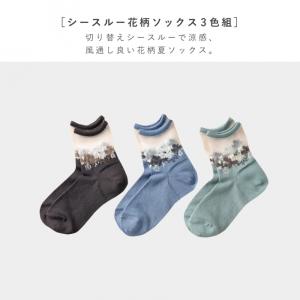 靴下 シースルー レディース 3色組 22-2...の詳細画像2