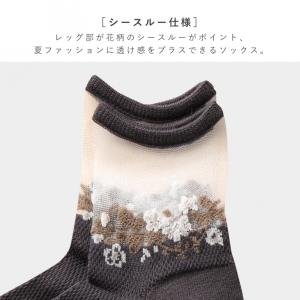 靴下 シースルー レディース 3色組 22-2...の詳細画像3